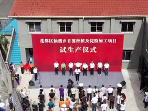 浙江麗水紅薯淀粉加工廠(chǎng)